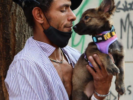 Ação social alcança pessoas e animais em situação de rua em Manaus