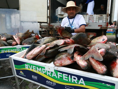 Feirão do Pescado com peixes a partir de R$ 8,90 termina nesta sexta-feira em Manaus