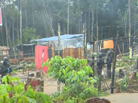 Operação retira barracos de invasão na Reserva Adolpho Ducke nesta sexta (25)