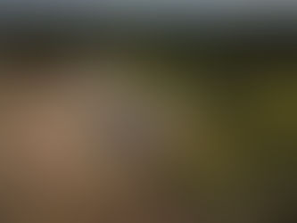 Vila Limeira: conheça a primeira comunidade 100% solar do sul do Amazonas