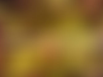 COVID-19: Descoberta em BH nova variante do coronavírus