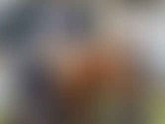 Conheça os novos cavalos do Policiamento Montado do Amazonas