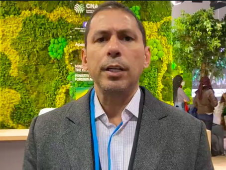 Projeto de crédito de carbono inclui povos ribeirinhos da Amazônia