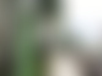 Encerram hoje inscrições para concurso público da Sefaz Amazonas