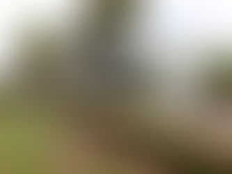 Governo do Amazonas decreta ponto facultativo na segunda-feira (14)
