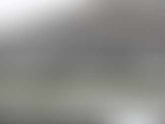 The Worst Ideas For Protecting Your Burton Home's Roof