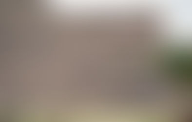 Repair, Patch or Replace Your Linden Roof?