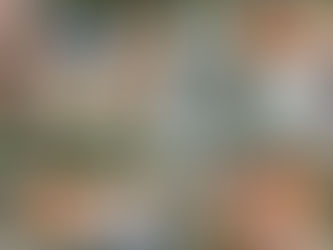 What Is The Average Lifespan of a Roof In Michigan?