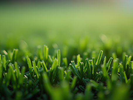 Unveiling the Costs of Artificial Turf Installation: Your Ultimate Artificial Turf Pricing Guide