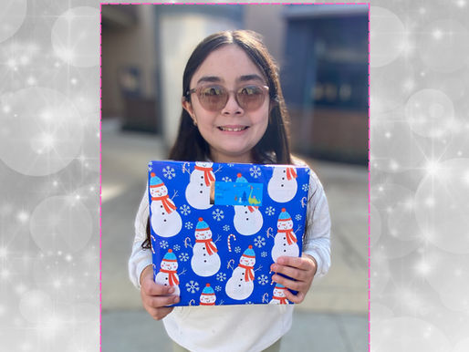 PPV's 2024 Holiday Gift Guide for Visually Impaired Children