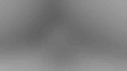 illustrator_Egyptian cat-.jpg