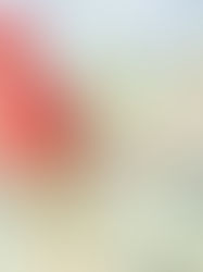 Budapeşte’de Şirket Kurmak: Bir Hayalin Gerçeğe Dönüşmesi