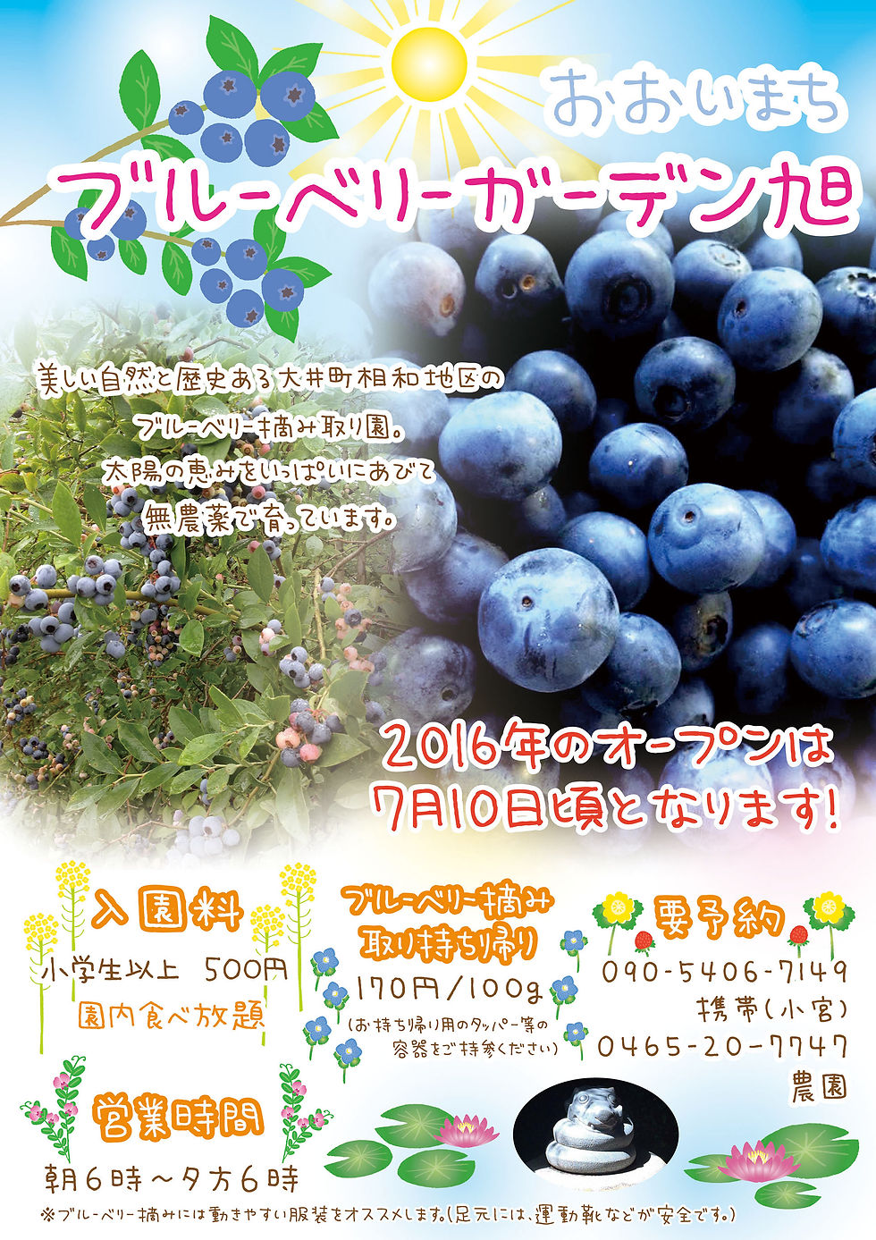 ブルーベリーガーデン旭