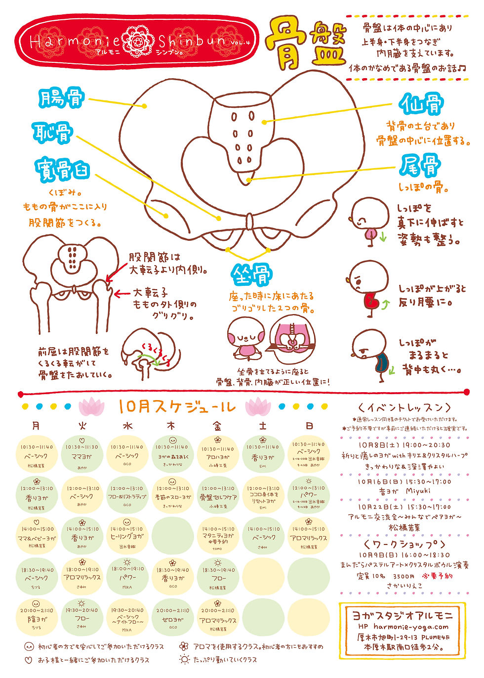 vol.4　骨盤