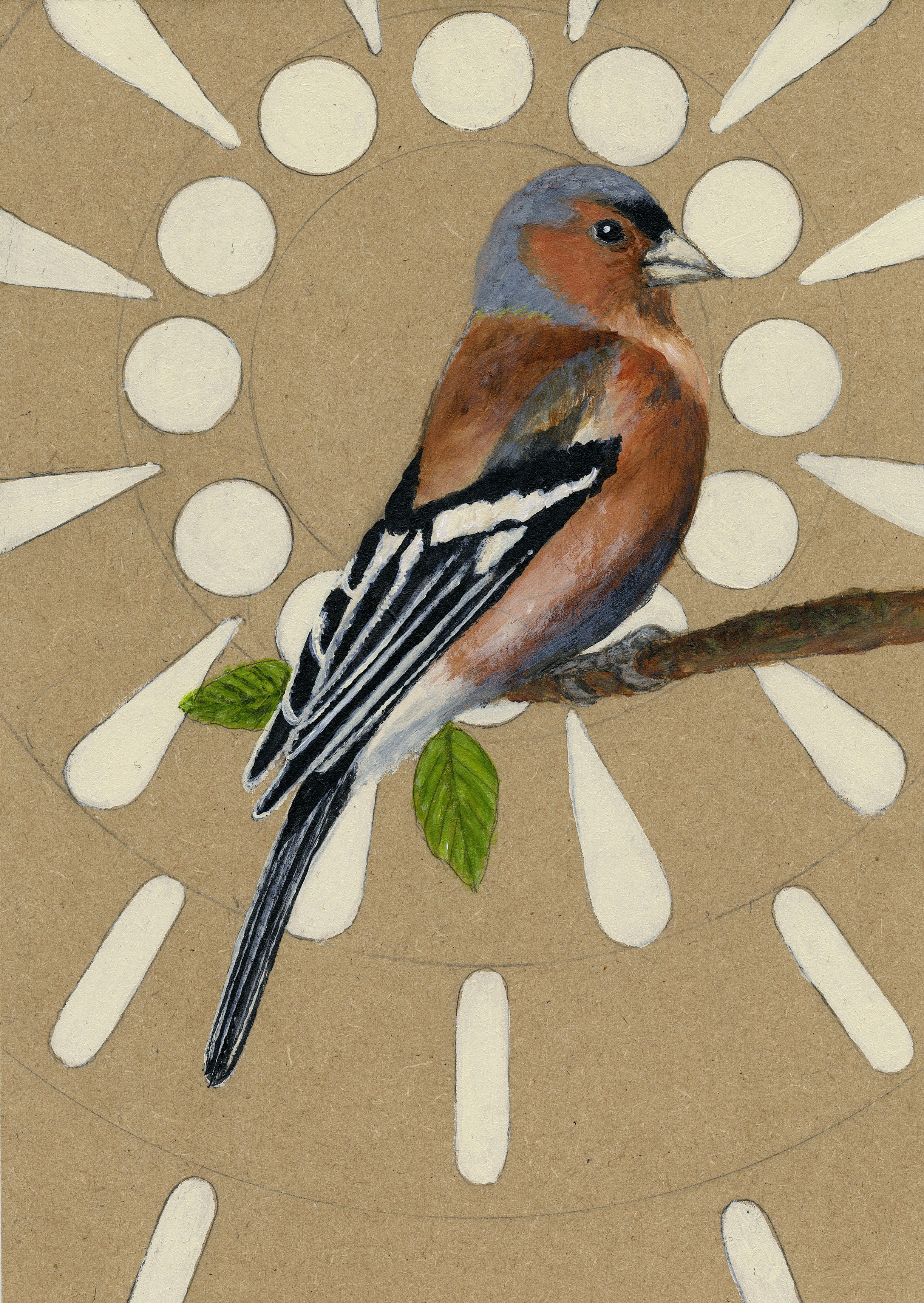 Chaffinch
