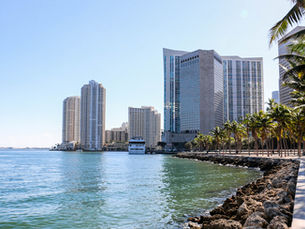 TravelFOCUS: Downtown Miami Adventures - The Oasis calls