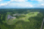 ree
