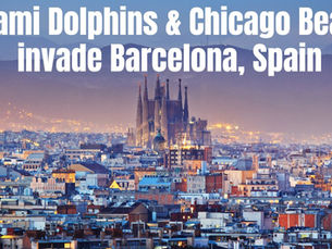 The Dolphins & Bears in Spain