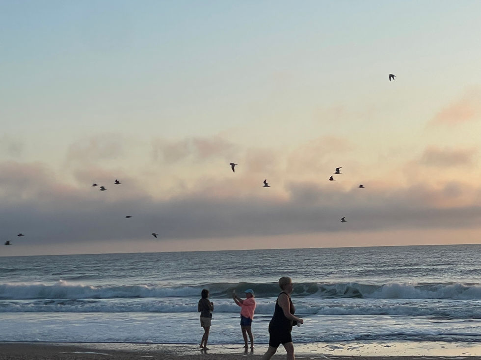 The beach days are incredible one-day get-aways. The popularity and creativity of staycations impact millons of Americans, and escpeially those in natrure-heavy environment like Florida, and California