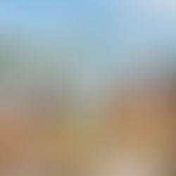 There is a brief, golden window in South Florida where the humidity retreats, the breeze carries a hint of salt and jasmine, and the sun feels like a warm embrace rather than a tropical interrogation. We call it Spring. While the rest of the country is shaking off the last of the slush, Miami enters its most sophisticated culinary phase. At IN FOCUS TV, we’ve spent years documenting the evolution of this city’s food scene, and if there is one insight we can share to transform your experience, it is this: Spring dining is not just about what is on the plate; it is about where that plate sits.