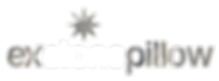 ExStonePillowLOGO(WHITE).png