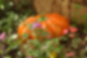 Ceramic Garden Pumpkin