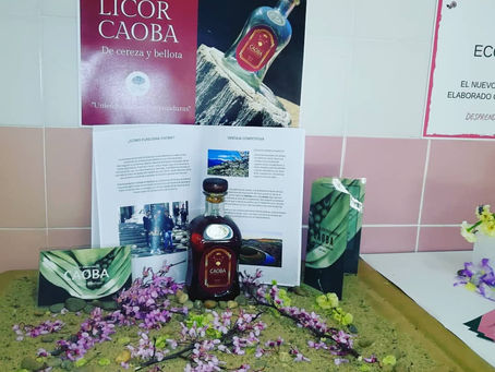 Participamos En EXPERTEMPRENDE Del Programa Cultura Emprendedora