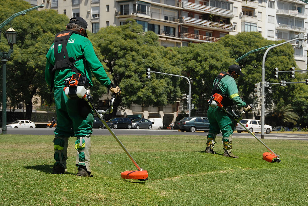 Miniatura: Echo SRM-4605-U