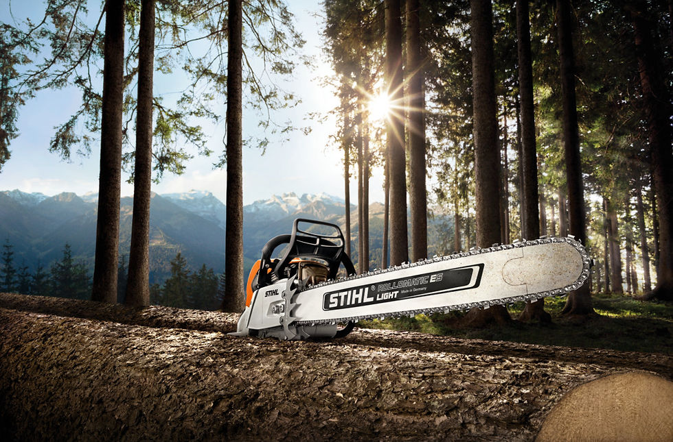 Miniatura: Stihl MS 661