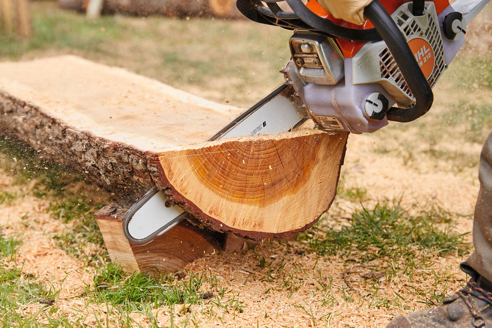 Miniatura: Stihl MS 212