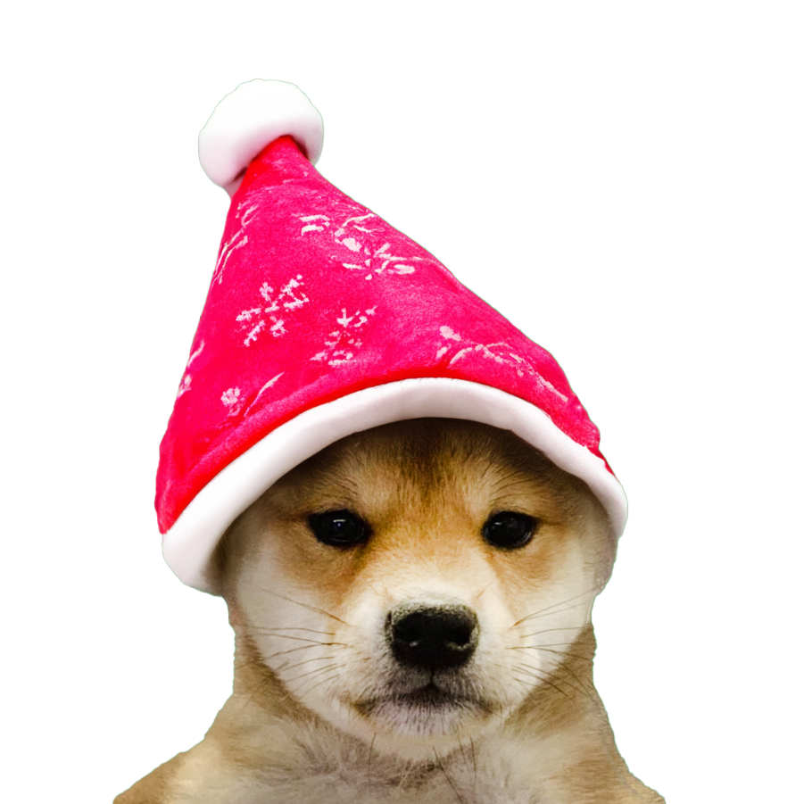 pink hat