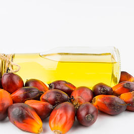 Palm oil and its fractions, whether or not refined, but not chemically modified