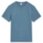 Premium Men's T-shirt