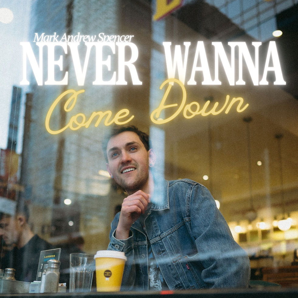 Never Wanna Come Down Album Cover.jpg