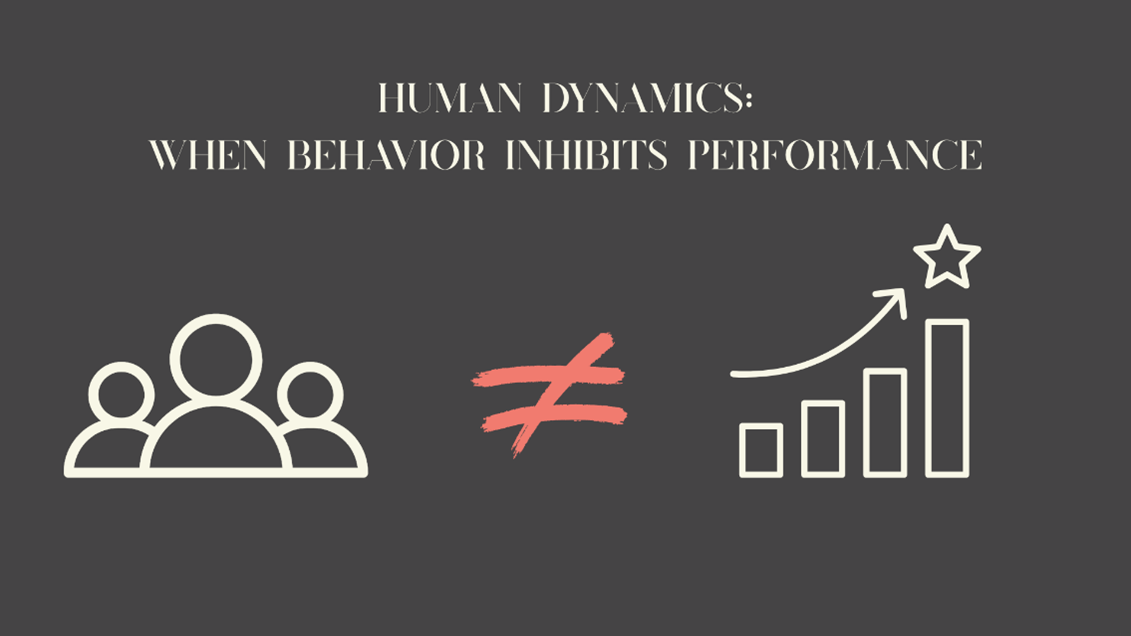 Human Dynamics – The Invisible Force Shaping Project Success: The missing piece in organizational understandin