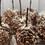 Thumbnail: Salted Caramel Pretzel Gourmet Candy Apple