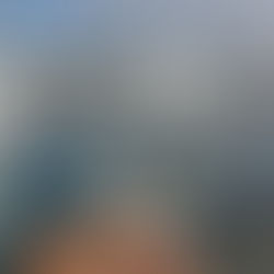 21st Annual San Deigo Food & Wine Festival