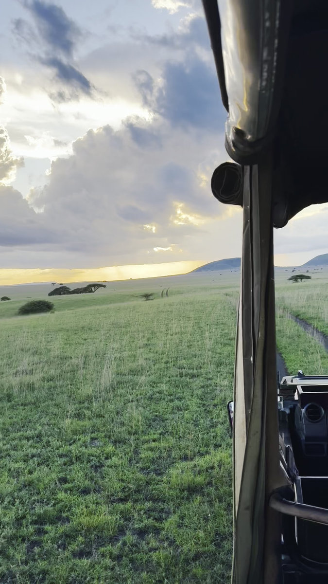 A Safari at Ol Donyo | Kenya’s Crown Jewel of Conservation, Luxury, and Wild Majesty