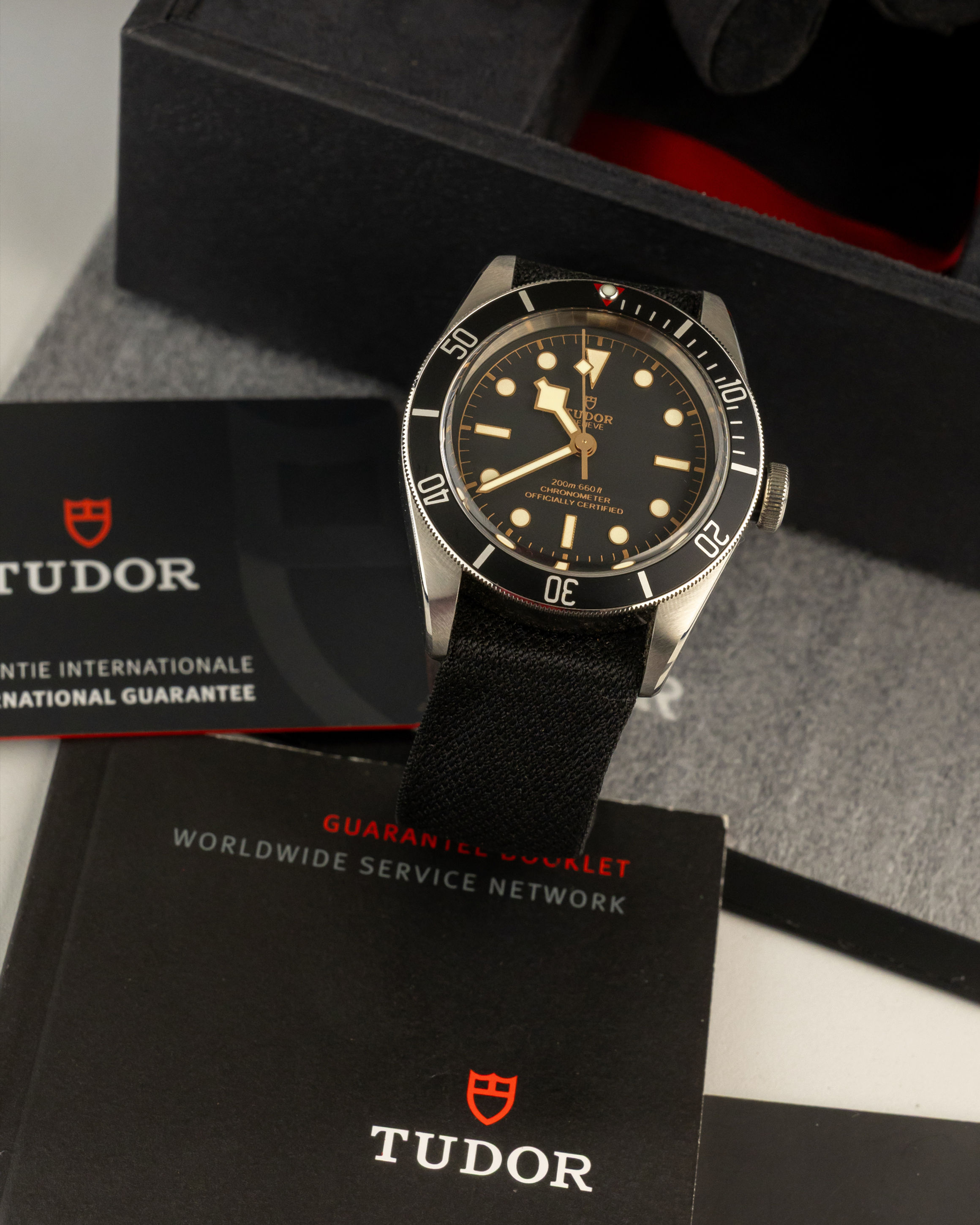 Tudor Black Bay Reference: 79230N