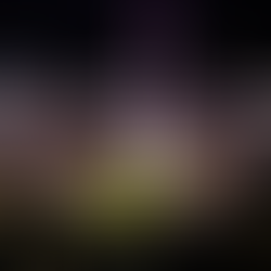 2024 LSU Tigers football schedule