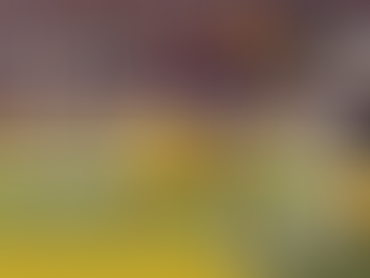 Former LSU wide receiver officially joins Ole Miss