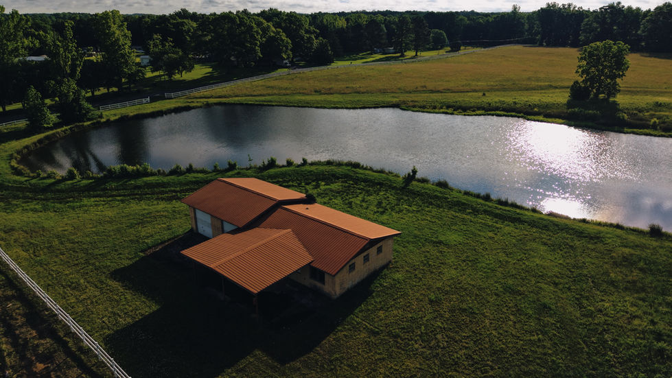 XLMP0680.JPG