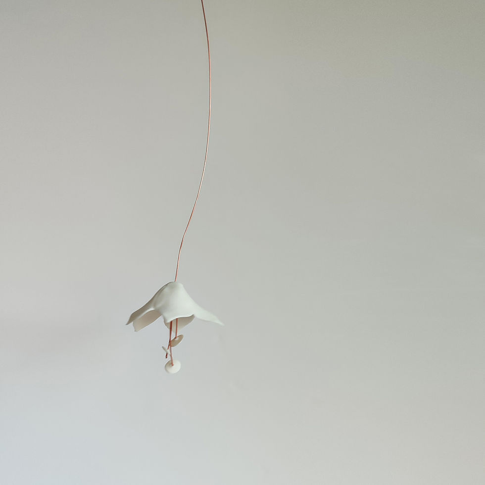 Miniature : FLOWER POWER