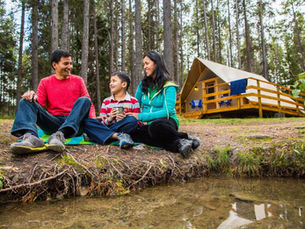 Best Campgrounds in Alberta for Families: Top Picks for Your Next Adventure