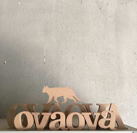 ovaova.jpeg