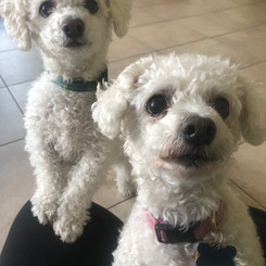 Jake and Sammie by Colleen