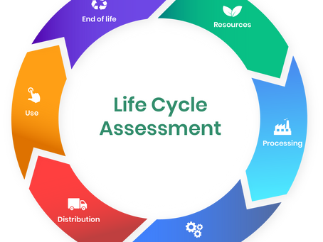 A Comprehensive Guide to Life Cycle Assessment (LCA)