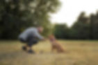 educateur-canin-ariege.jpg