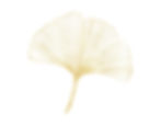 terre-d-eugenia-feuille-ginko.jpg