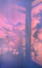Thumbnail: Up With the Sun 